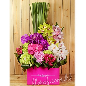 MD3  Mother’s Day Mix Flower Box  (SOLD OUT) MD3  Mother’s Day Mix Flower Box  (SOLD OUT)